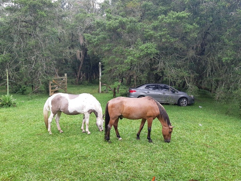 null: 2ª foto da galeria de imagens do imóvel