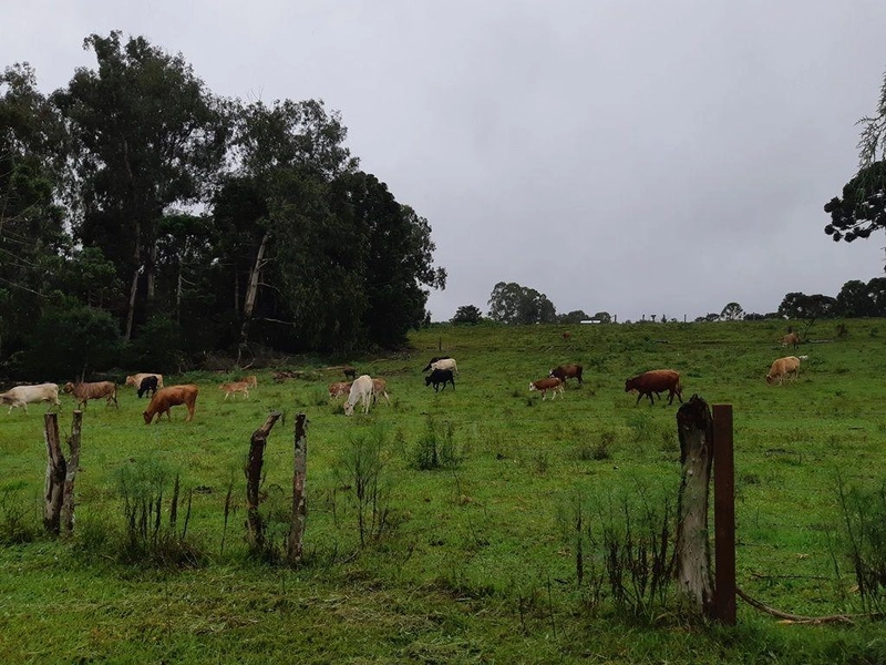 null: 8ª foto da galeria de imagens do imóvel