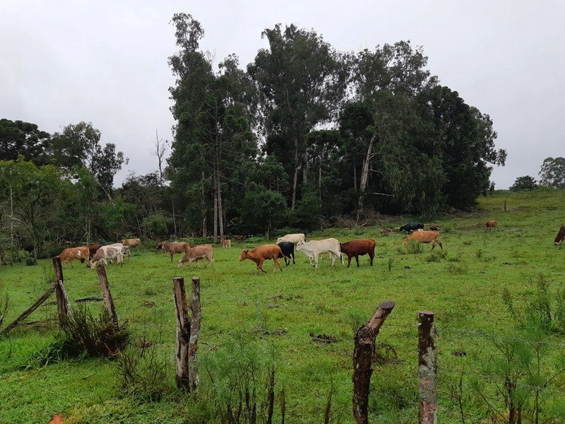 null: 9ª foto da galeria de imagens do imóvel