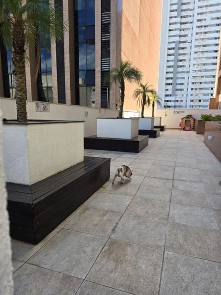 null: 7ª foto da galeria de imagens do imóvel