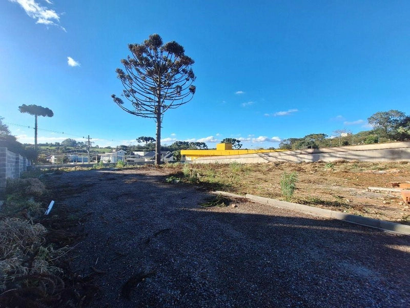 null: 14ª foto da galeria de imagens do imóvel