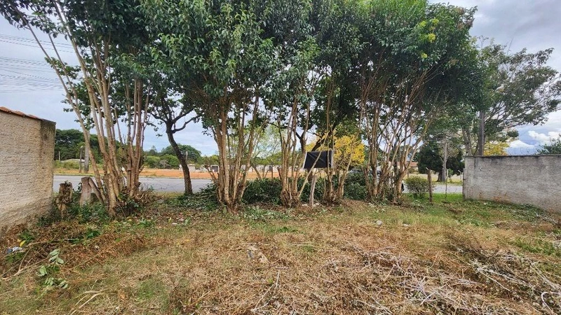 null: 12ª foto da galeria de imagens do imóvel