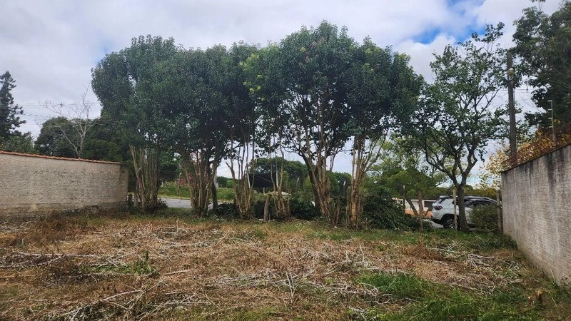 null: 9ª foto da galeria de imagens do imóvel