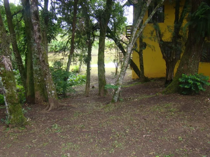 Um refugio em Campo Largo para voce e sua familia.: 8ª foto da galeria de imagens do imóvel
