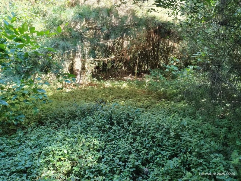 null: 7ª foto da galeria de imagens do imóvel