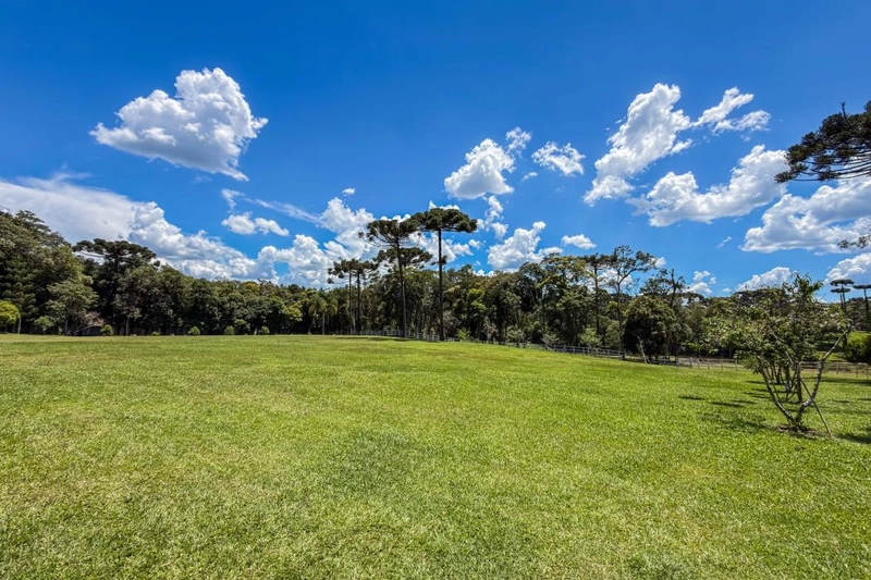 null: 2ª foto da galeria de imagens do imóvel