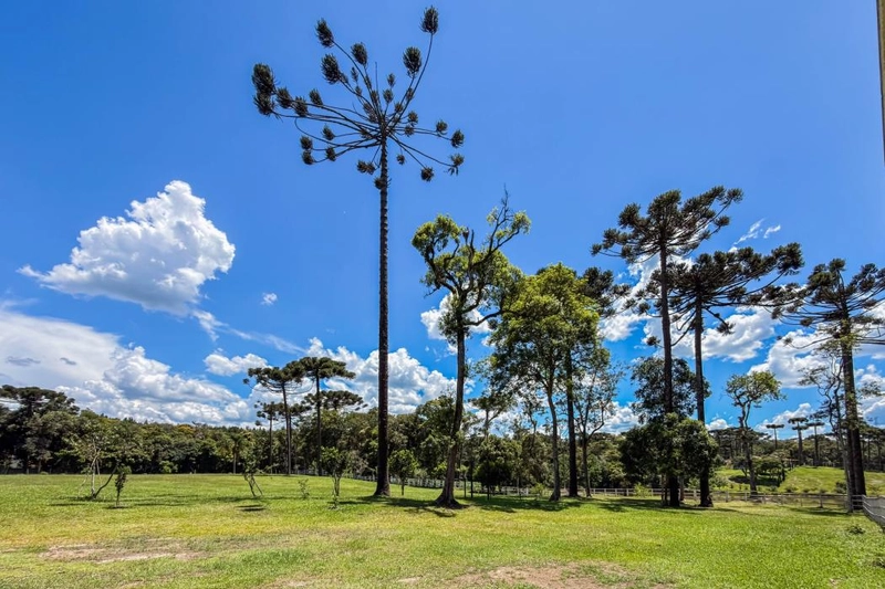 null: 4ª foto da galeria de imagens do imóvel