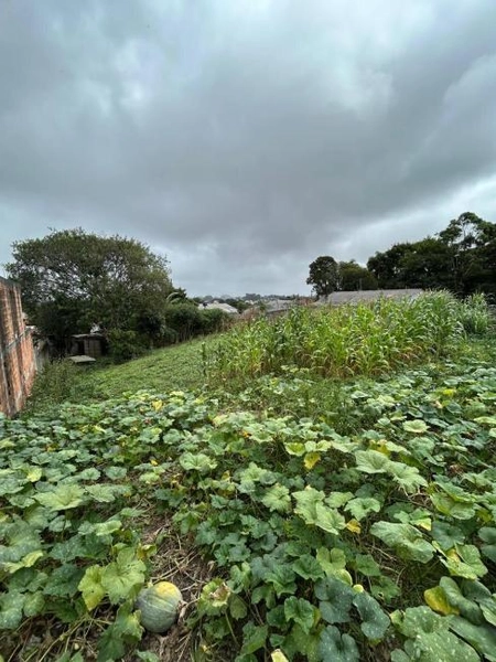null: 2ª foto da galeria de imagens do imóvel