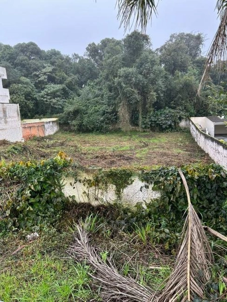 null: 4ª foto da galeria de imagens do imóvel