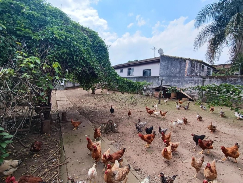 null: 10ª foto da galeria de imagens do imóvel