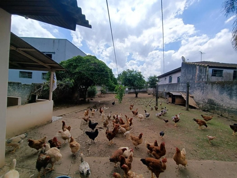 null: 11ª foto da galeria de imagens do imóvel