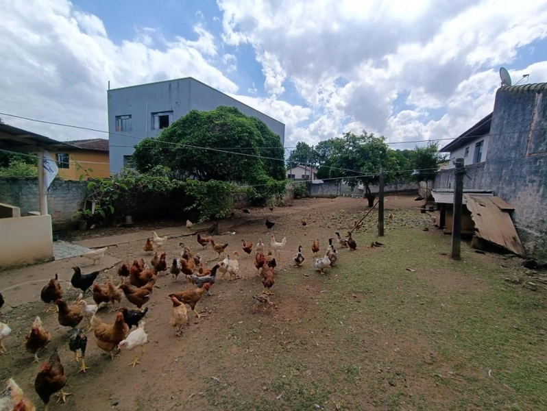 null: 13ª foto da galeria de imagens do imóvel