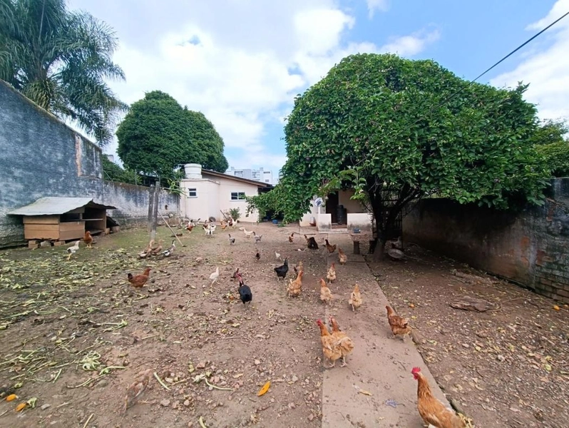 null: 14ª foto da galeria de imagens do imóvel