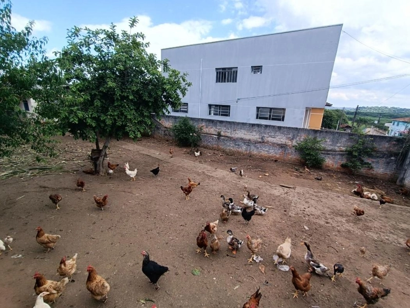 null: 24ª foto da galeria de imagens do imóvel