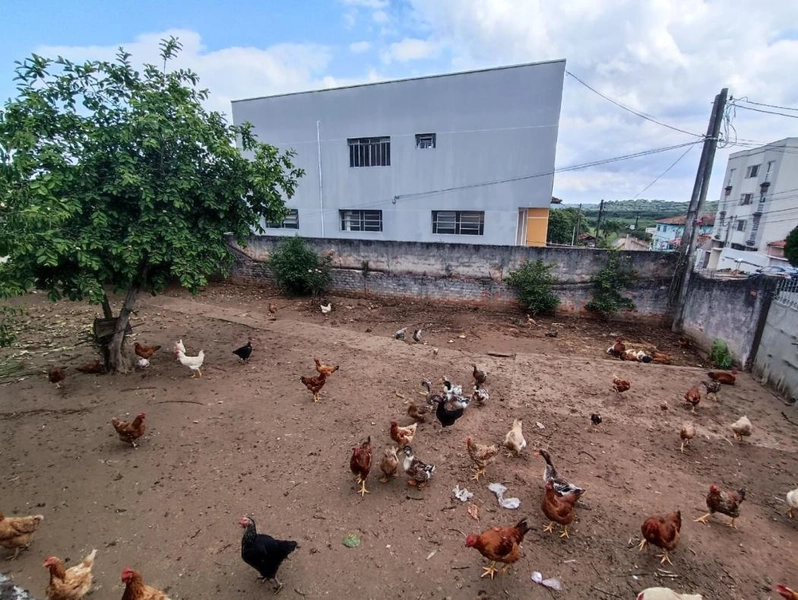 null: 25ª foto da galeria de imagens do imóvel