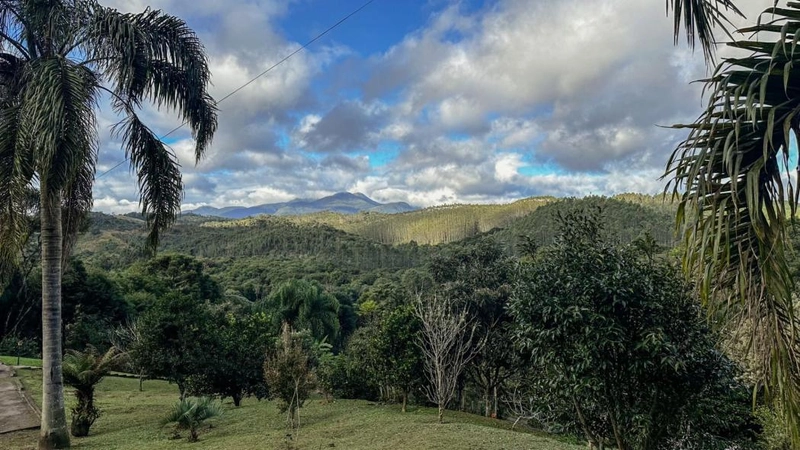 null: 12ª foto da galeria de imagens do imóvel