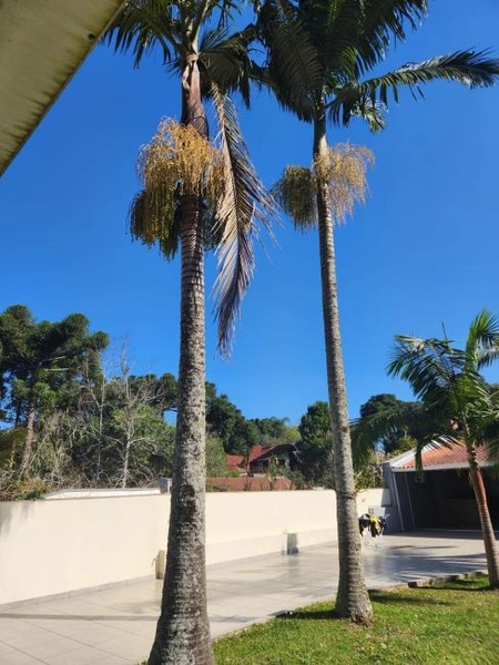 null: 5ª foto da galeria de imagens do imóvel