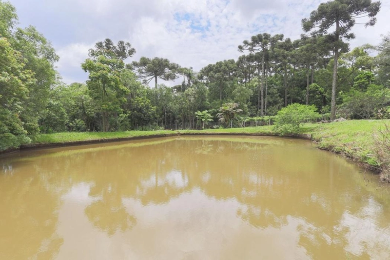 null: 37ª foto da galeria de imagens do imóvel