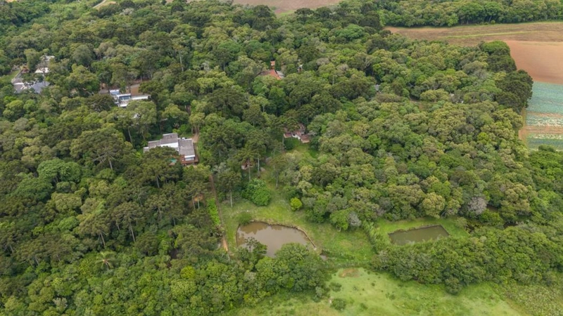 null: 44ª foto da galeria de imagens do imóvel