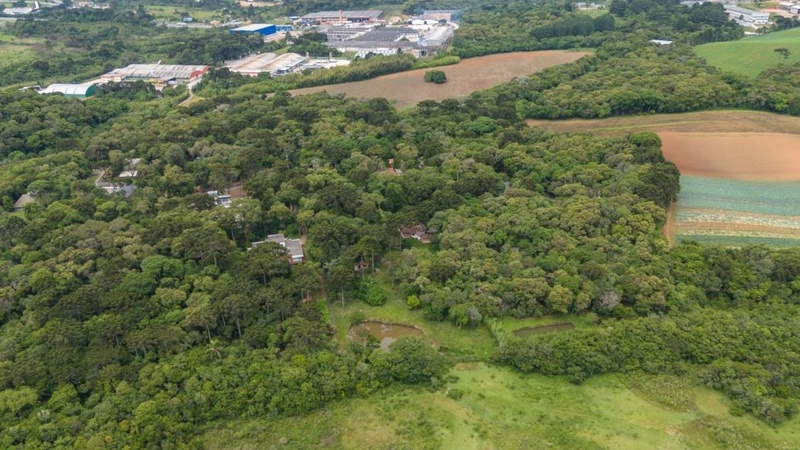 null: 45ª foto da galeria de imagens do imóvel