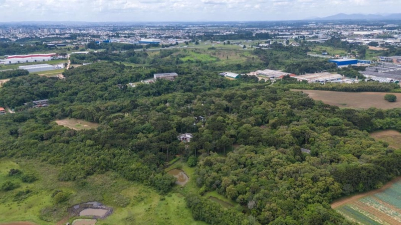 null: 46ª foto da galeria de imagens do imóvel