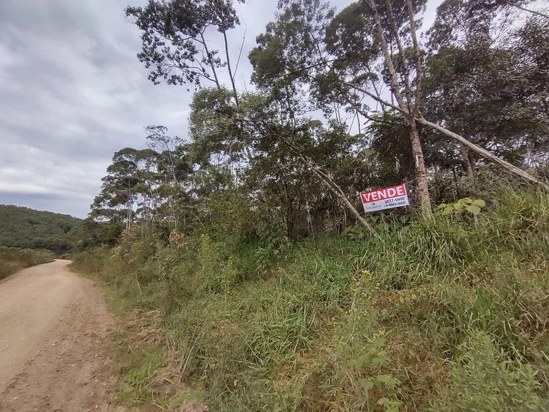 null: 12ª foto da galeria de imagens do imóvel