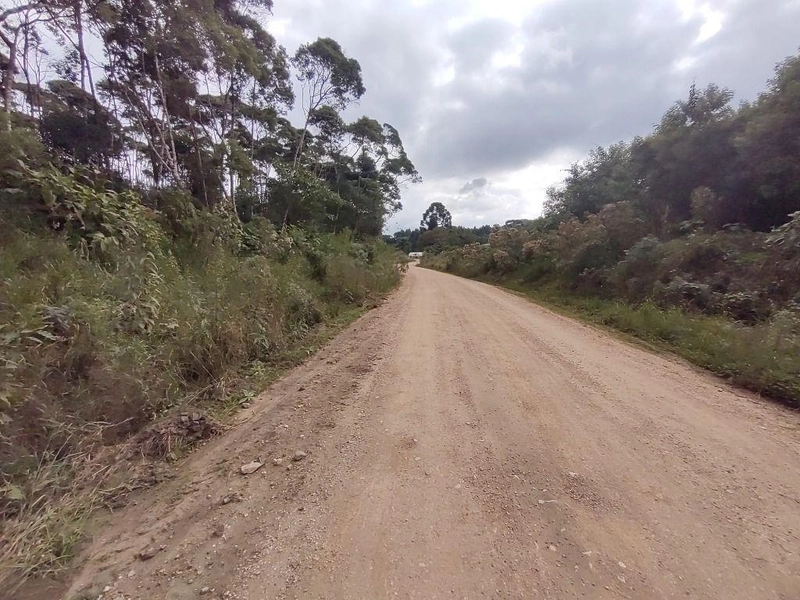 null: 16ª foto da galeria de imagens do imóvel