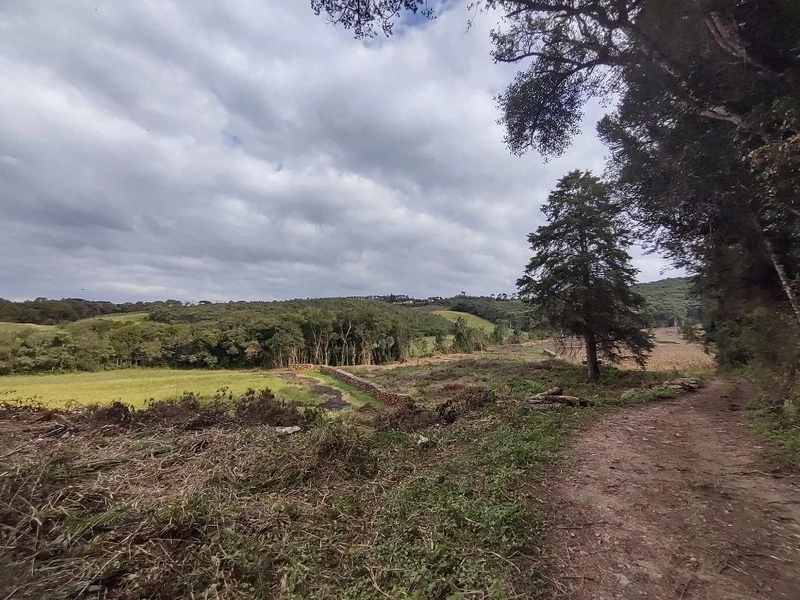 null: 22ª foto da galeria de imagens do imóvel