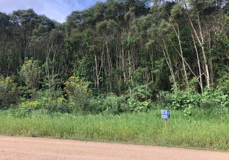 null: 5ª foto da galeria de imagens do imóvel