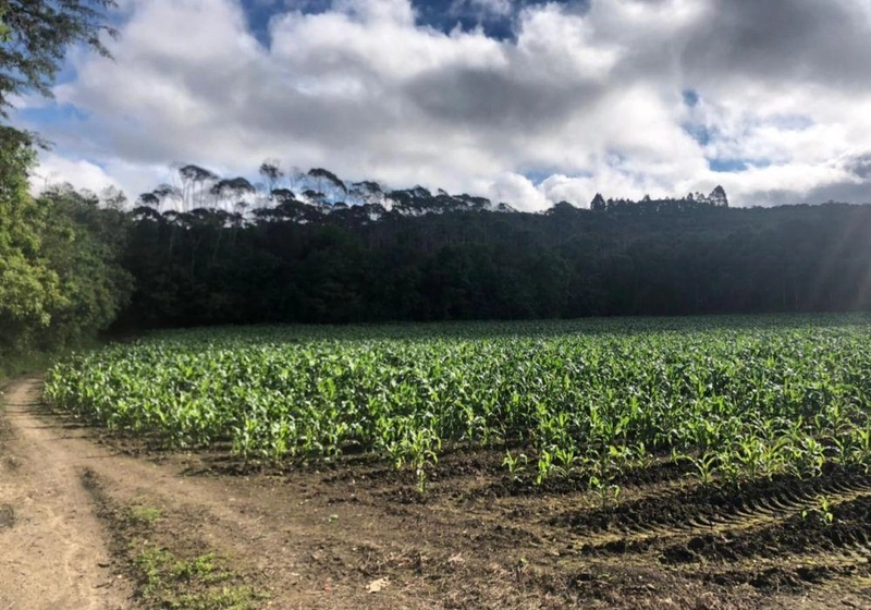 null: 6ª foto da galeria de imagens do imóvel