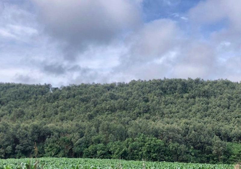 null: 9ª foto da galeria de imagens do imóvel