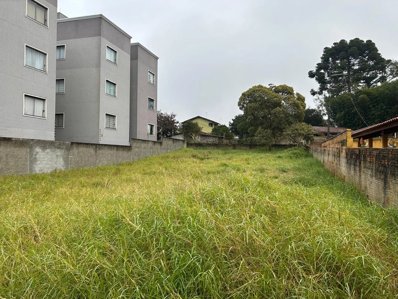 Lote de Terreno Urbano - 490m² - Centro Campo Largo: 5ª foto da galeria de imagens do imóvel