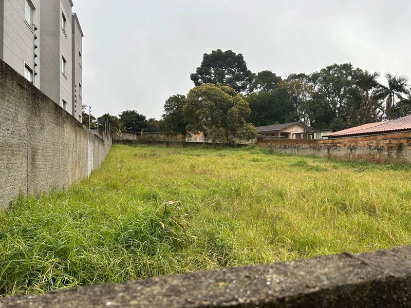 Lote de Terreno Urbano - 490m² - Centro Campo Largo: 6ª foto da galeria de imagens do imóvel