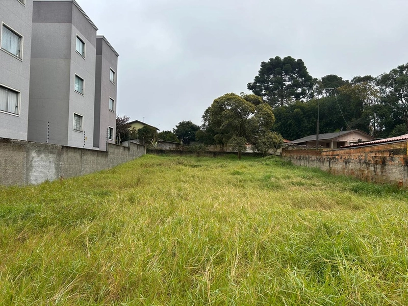 Lote de Terreno Urbano - 490m² - Centro Campo Largo: 3ª foto da galeria de imagens do imóvel