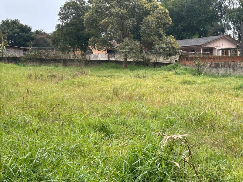Lote de Terreno Urbano - 490m² - Centro Campo Largo: 4ª foto da galeria de imagens do imóvel