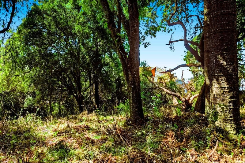 null: 10ª foto da galeria de imagens do imóvel