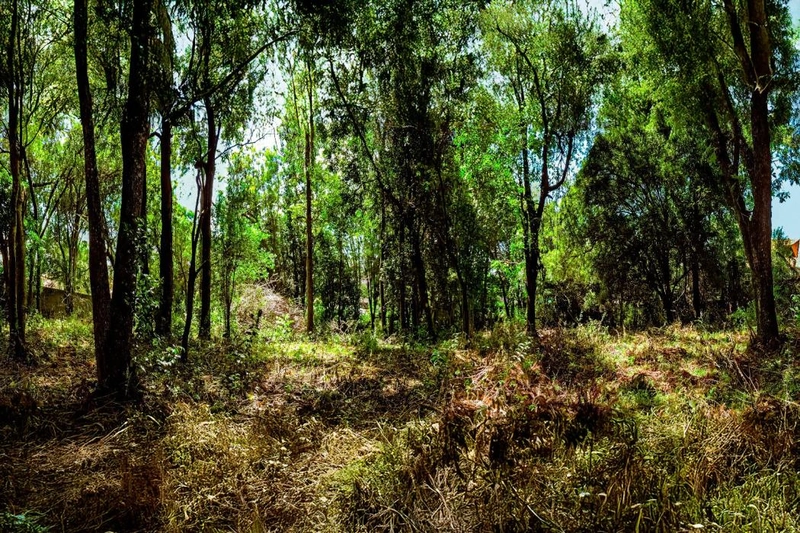 null: 11ª foto da galeria de imagens do imóvel