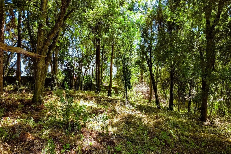 null: 3ª foto da galeria de imagens do imóvel