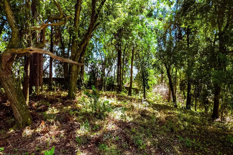 null: 8ª foto da galeria de imagens do imóvel