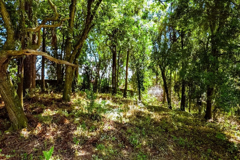 null: 9ª foto da galeria de imagens do imóvel