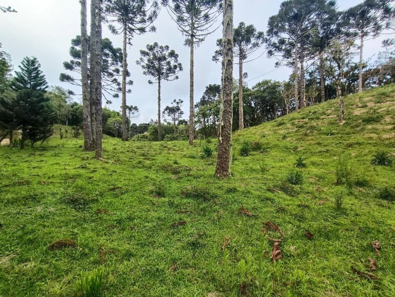 null: 35ª foto da galeria de imagens do imóvel