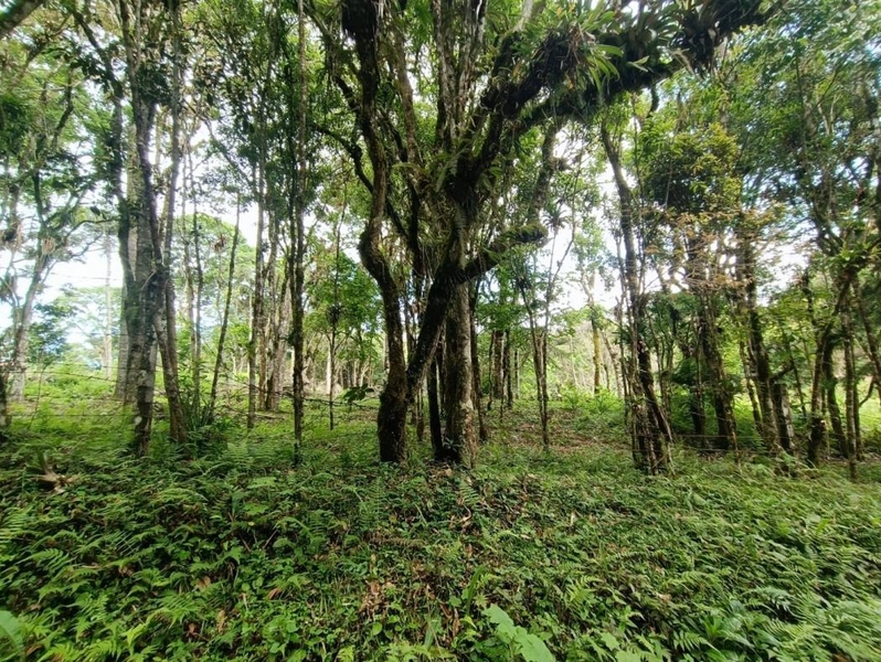 null: 36ª foto da galeria de imagens do imóvel