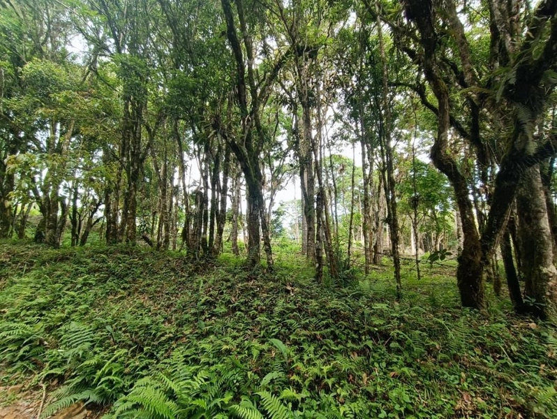 null: 37ª foto da galeria de imagens do imóvel