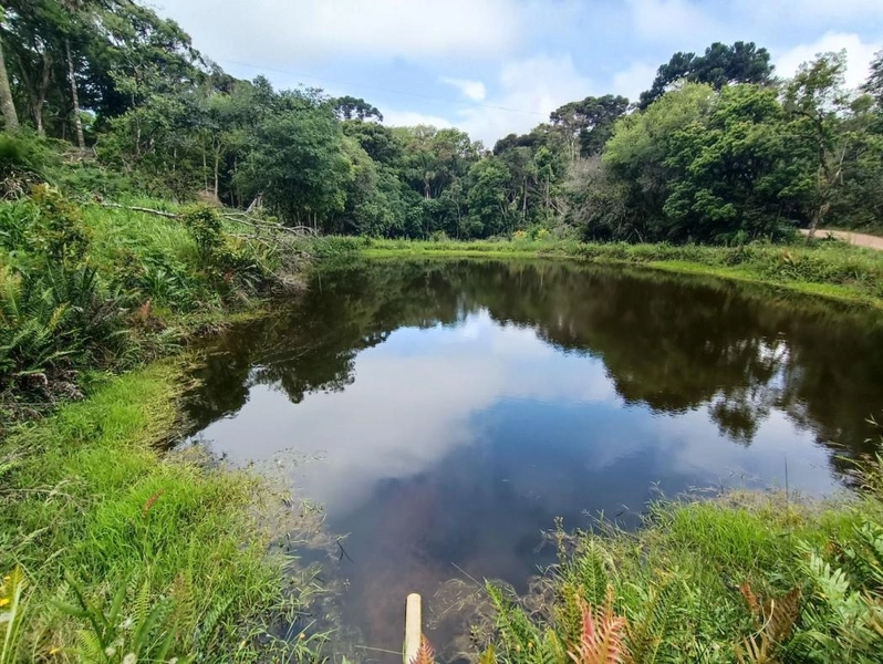 null: 39ª foto da galeria de imagens do imóvel