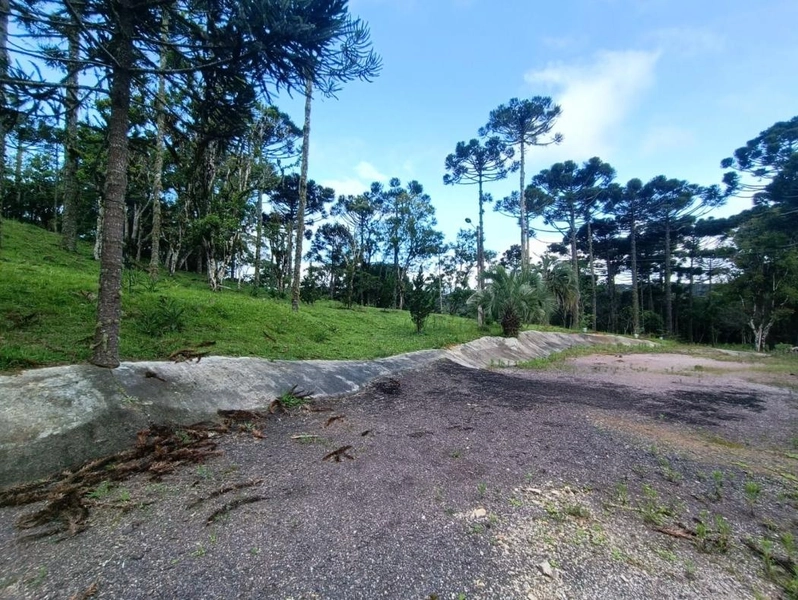 null: 4ª foto da galeria de imagens do imóvel