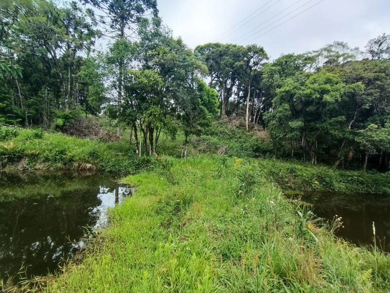 null: 42ª foto da galeria de imagens do imóvel