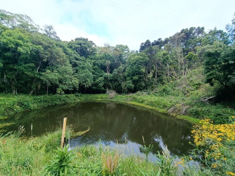 null: 44ª foto da galeria de imagens do imóvel