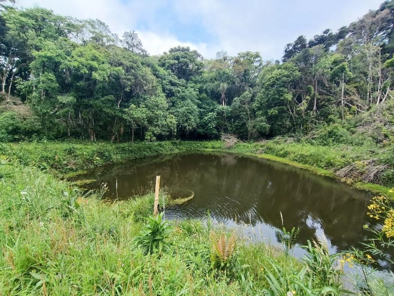 null: 46ª foto da galeria de imagens do imóvel