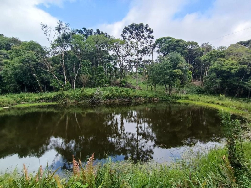 null: 48ª foto da galeria de imagens do imóvel