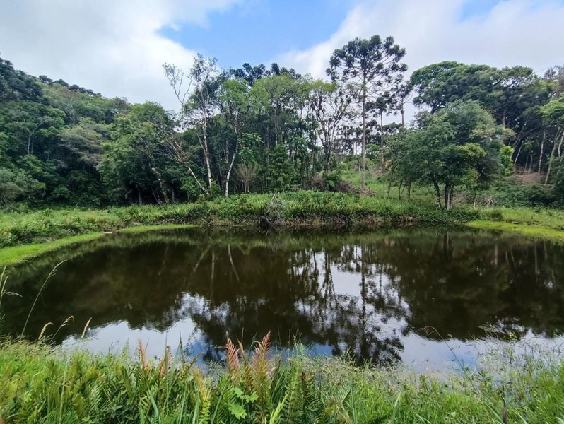 null: 50ª foto da galeria de imagens do imóvel